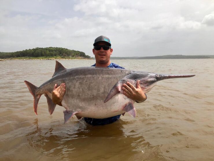 oklahoma fish