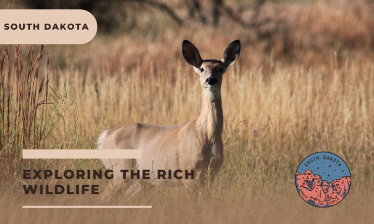 south dakota