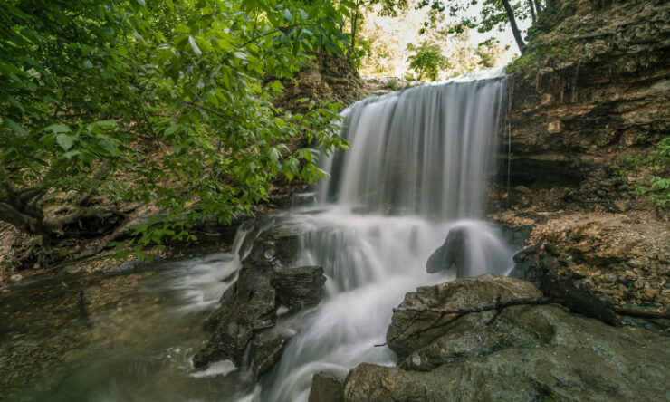 tanyard creek