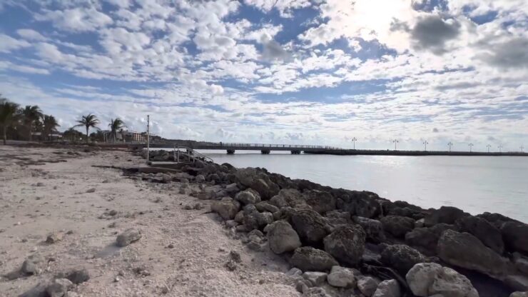 C. B. Harvey Rest Beach Park