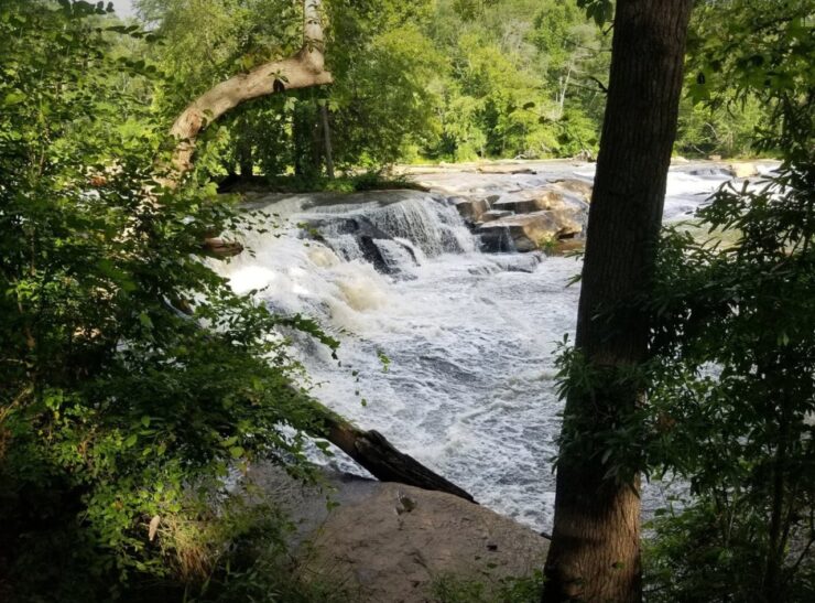 Cedar Falls