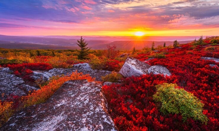 Dolly Sods Wilderness