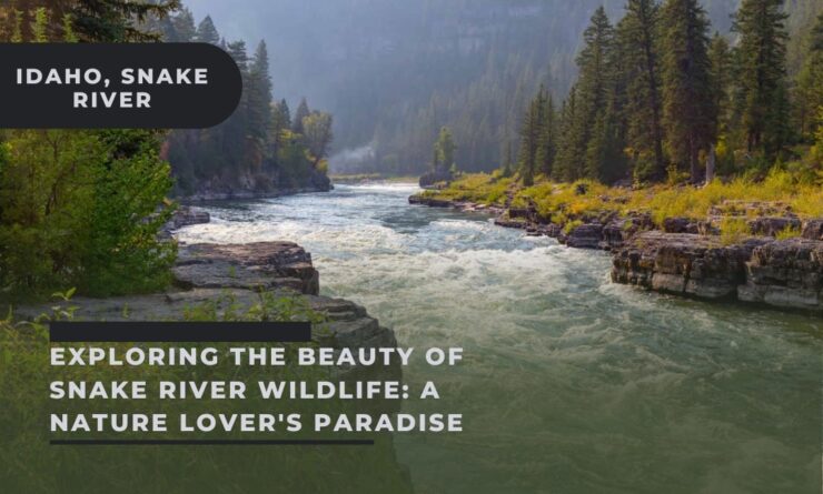 Exploring the Beauty of Snake River Wildlife: A Nature Lover's Paradise