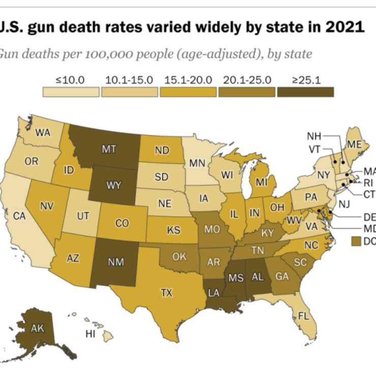 Gun Violence Florida