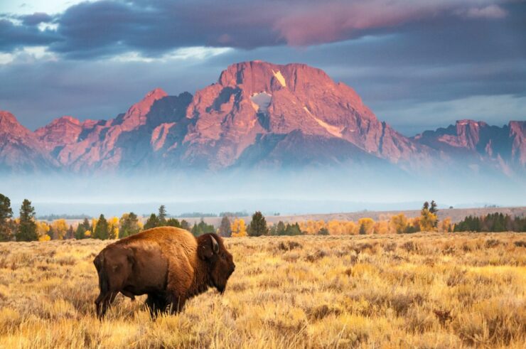 Jackson Hole, Wyoming