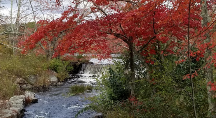 Kenyon Mill Falls