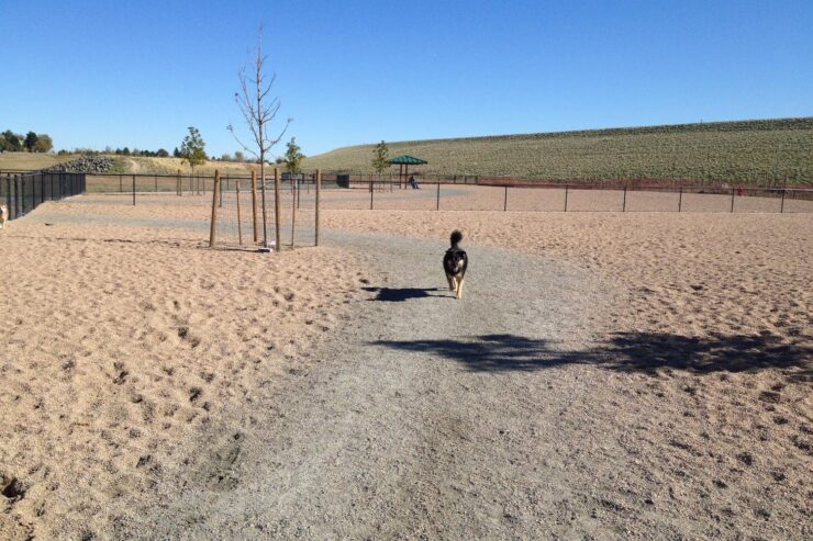 Lowry Dog Park