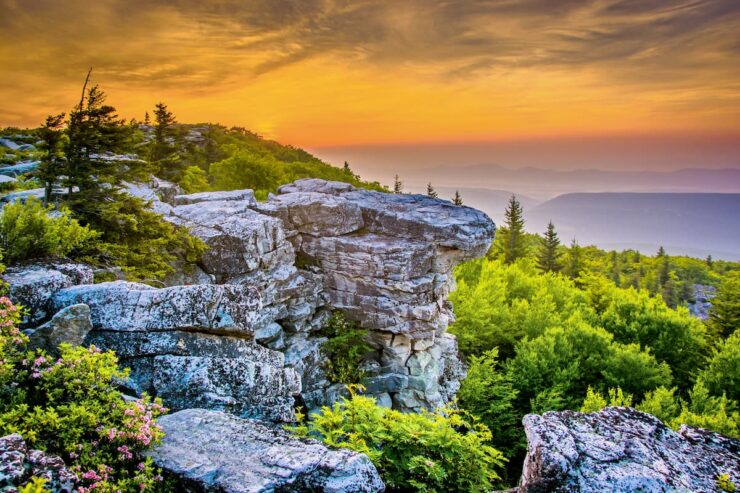 Monongahela National Forest