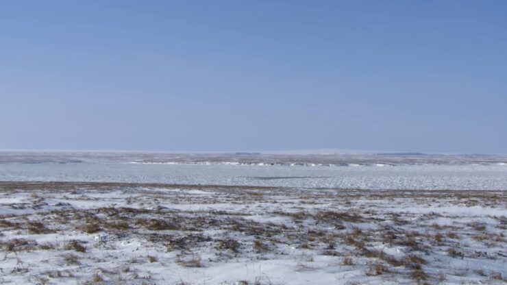 Nunivak Island