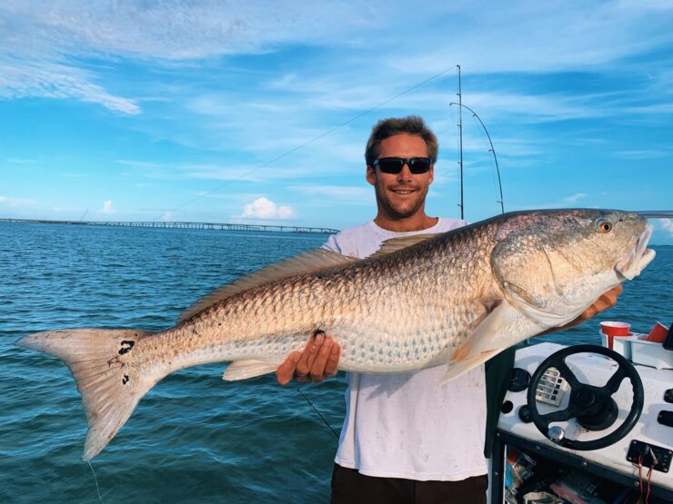 red drum