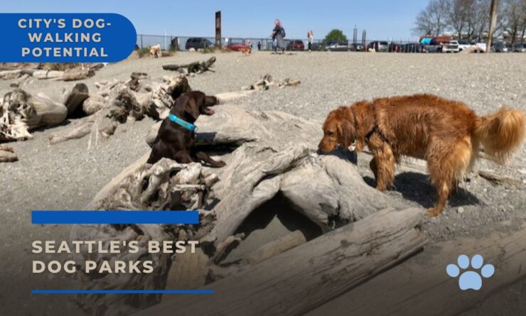 Seattle Dogs Parks