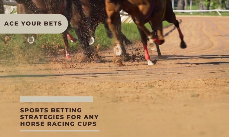Sports Betting Strategies For Any Horse Racing Cups
