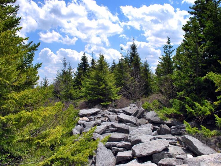 Spruce Knob-Seneca Rocks National Recreation Area