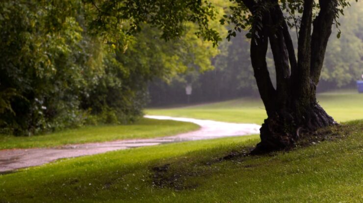 Toronto's parks and trails covering 8,000 hectares of land