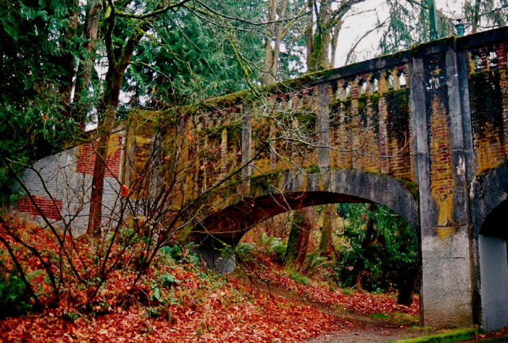Washington Park Arboretum