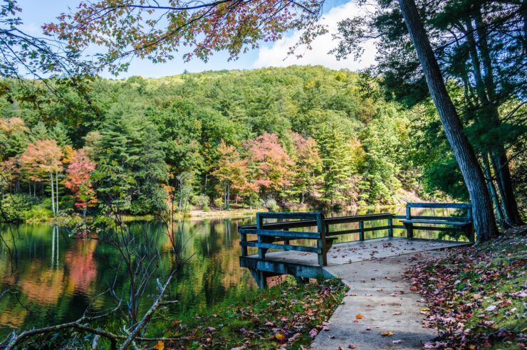 Watoga State Park