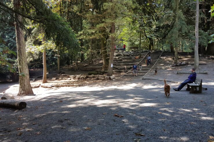 Woodland Park Off-Leash Area
