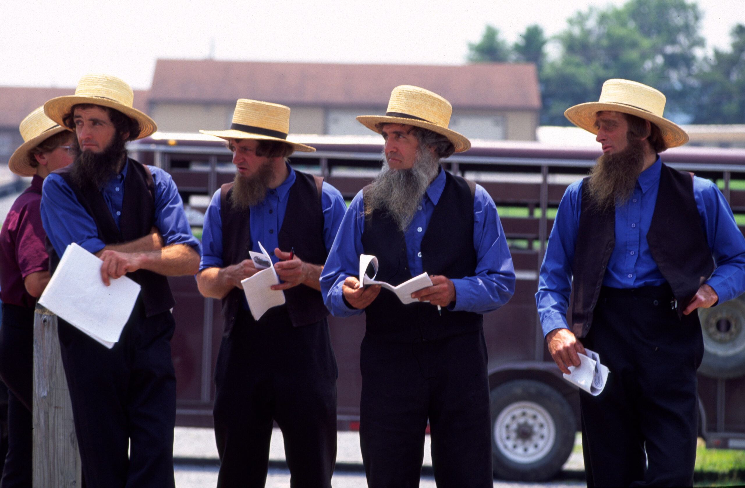 amish vs mennonite