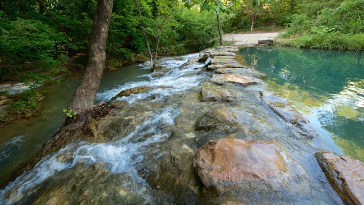 chickasaw