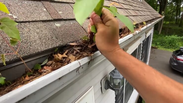 clogged Gutters