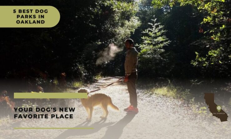 dog parks