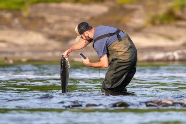 fishing