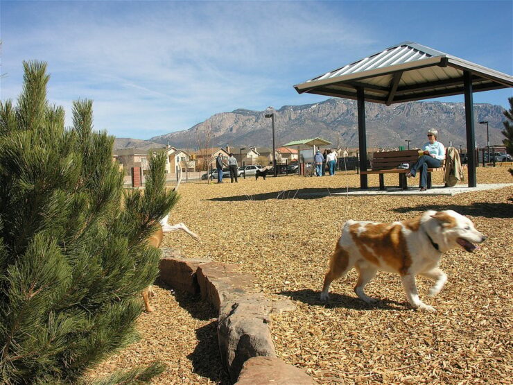 joaquin miller dog park