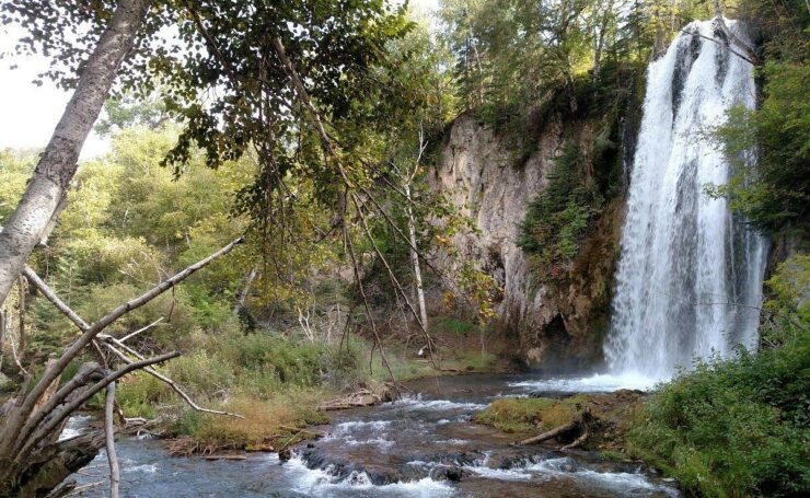 spearfish falls