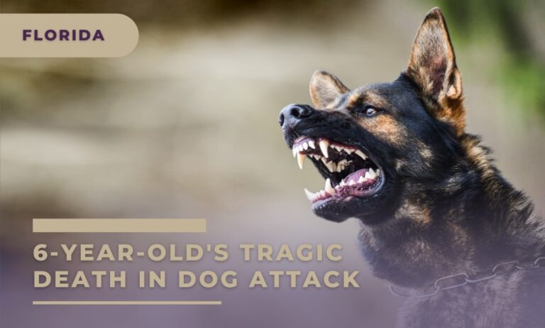 Florida - 6-Year-Old's Tragic Death in Dog Attack Stuns Community