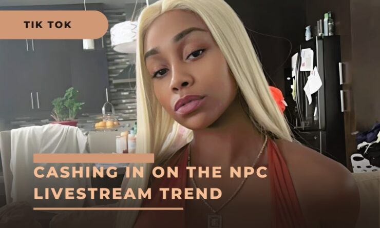 Cashing in on the NPC Livestream Trend