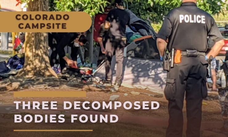 Find of Three Decomposed Bodies Shakes (1)