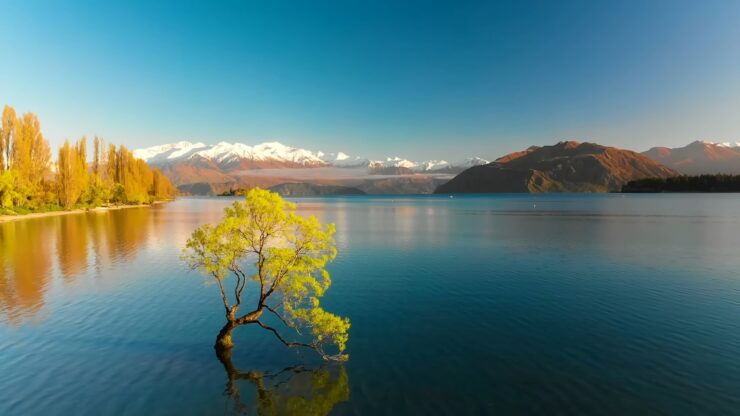 New Zealand