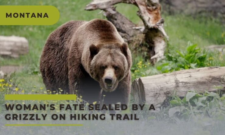 Woman's Fate Sealed by a Grizzly on Hiking Trail