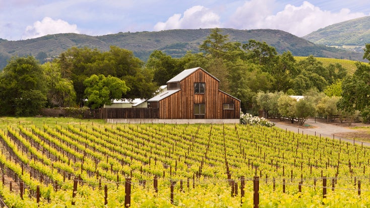 15 US States That Produce Most Wine 2023: The Cream of the Crop - Vimarsana News
