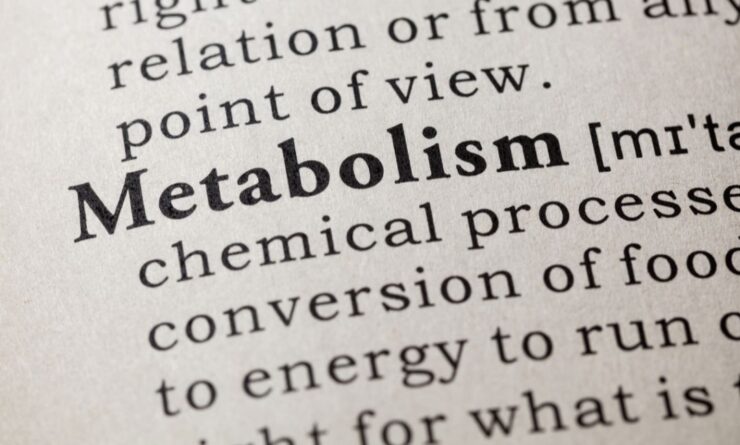 Metabolism Dictionary
