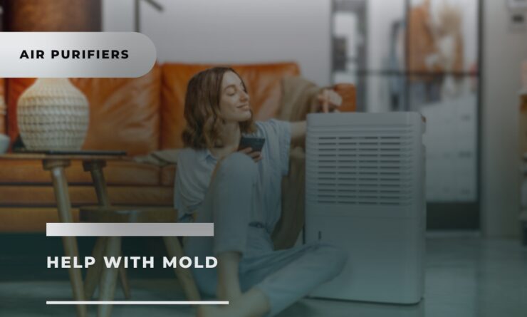 Air Purifiers Help with Mold