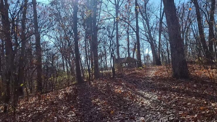 Babler State Park