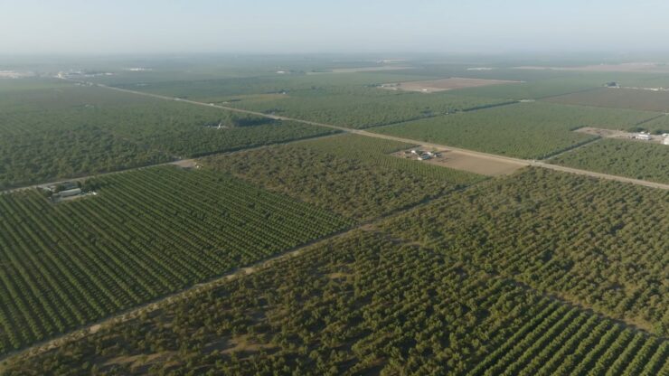 California Agriculture