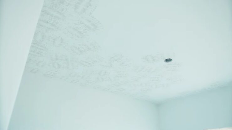 Crows Foot Ceiling Texture