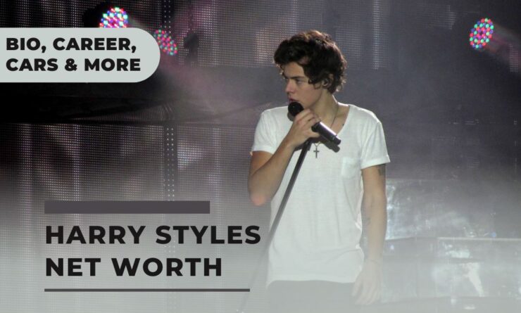 Harry Styles Concert