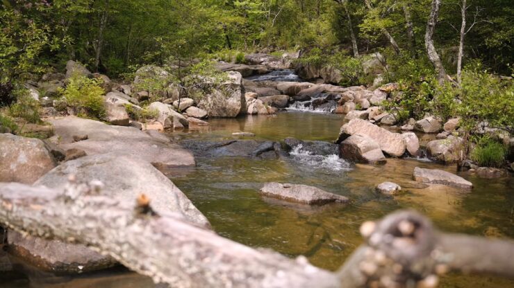 Hawn State Park