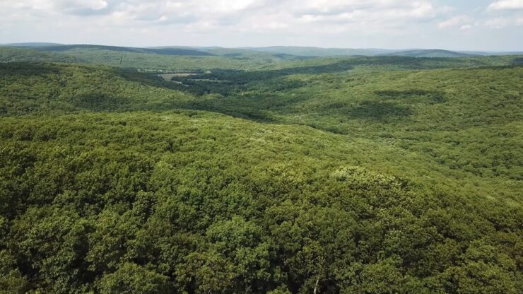 Taum Sauk Mountain