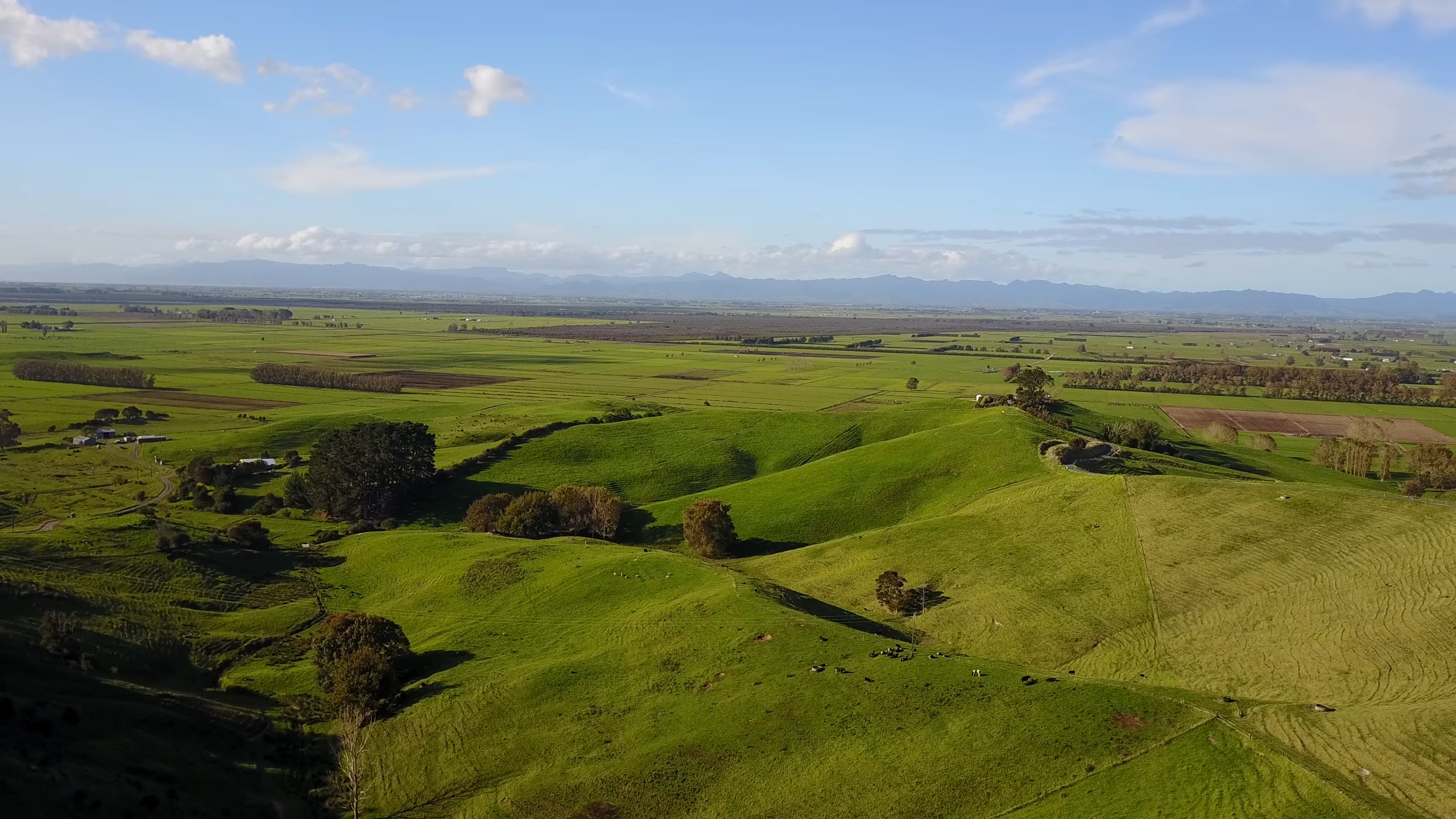 New Zealand