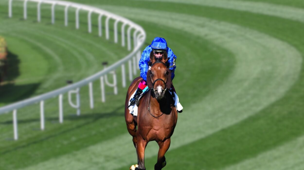 Canadian International Stakes