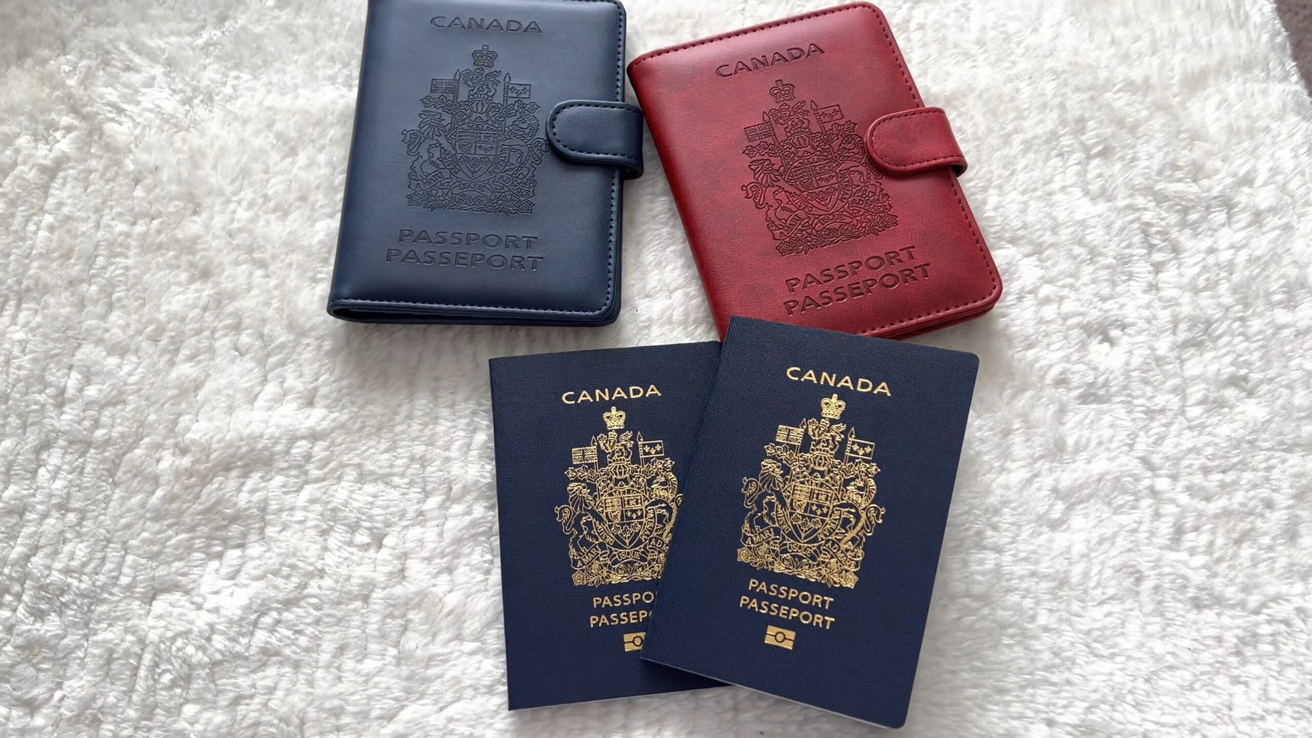 Canadian Passport for Travel