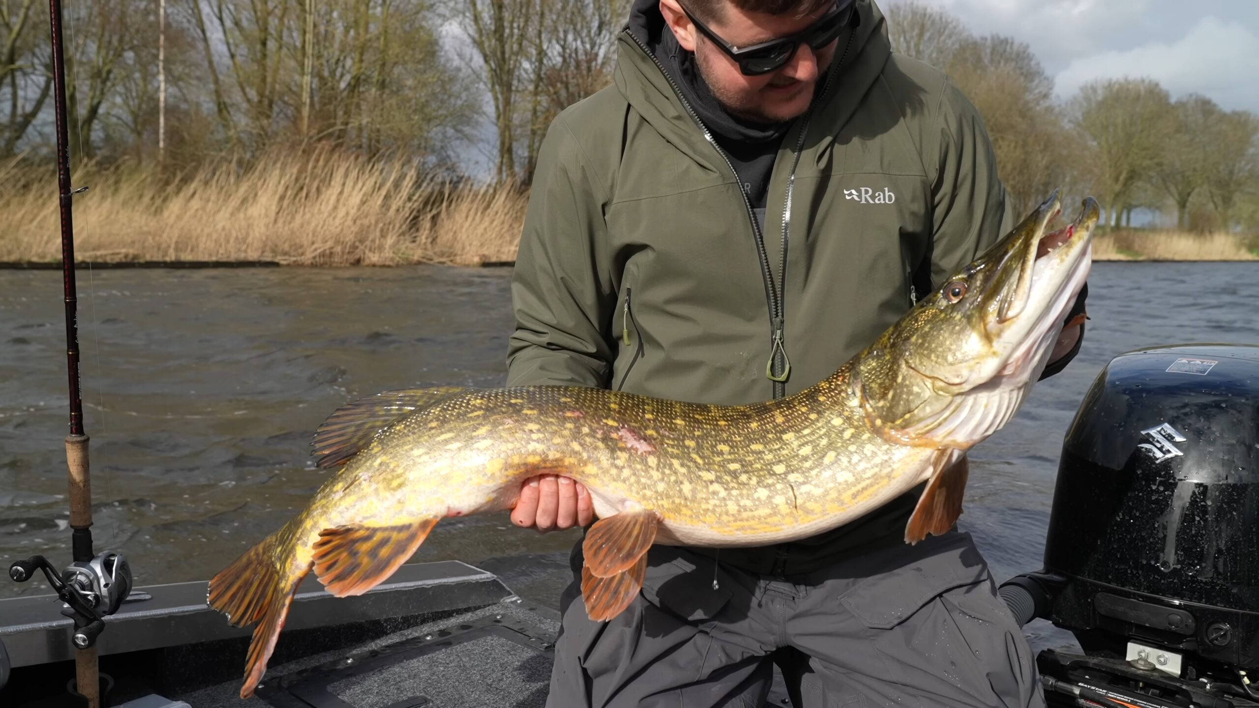 Northern Pike - Connecticut