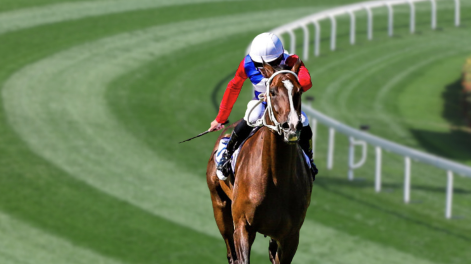The Kings Plate