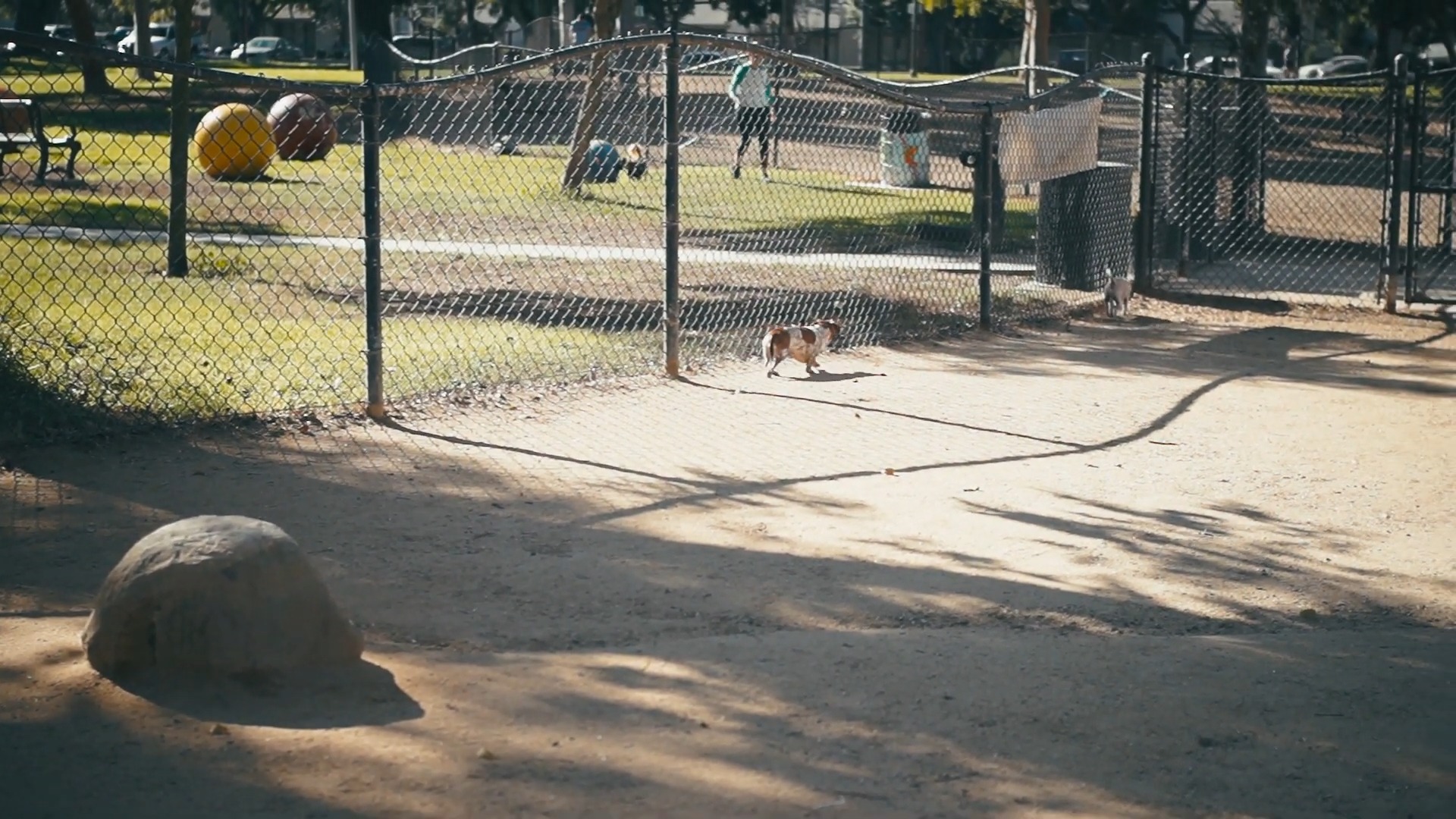 Dog Park, Long Beach