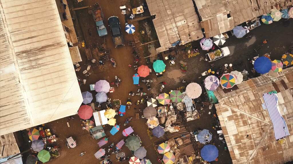 Life-Expectancy in Cameroon