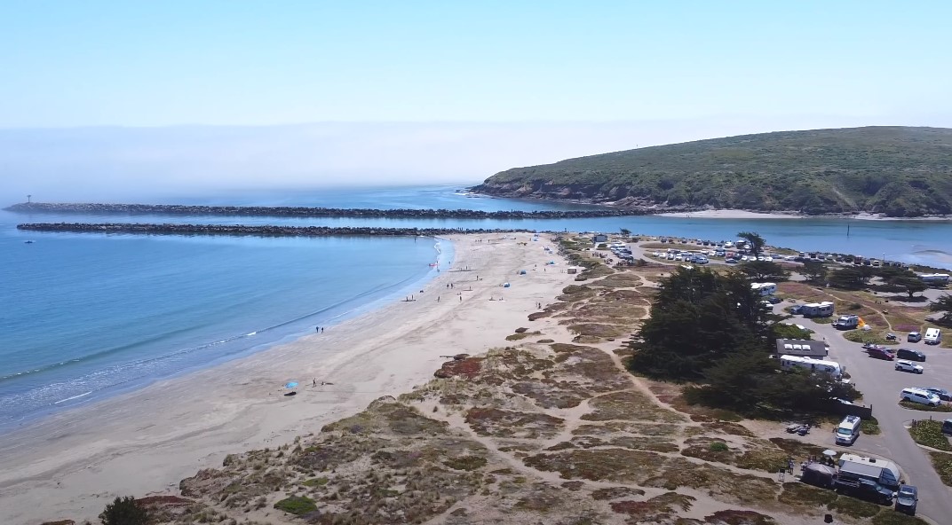 Bodega Bay RV Park Is it pet friendly